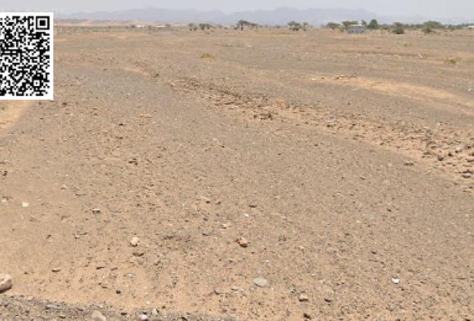 15896921 - صورة العقار 2