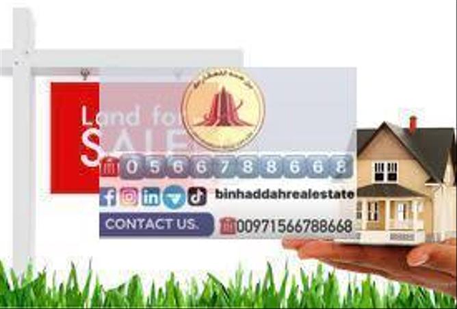 10880488 - صورة العقار 2