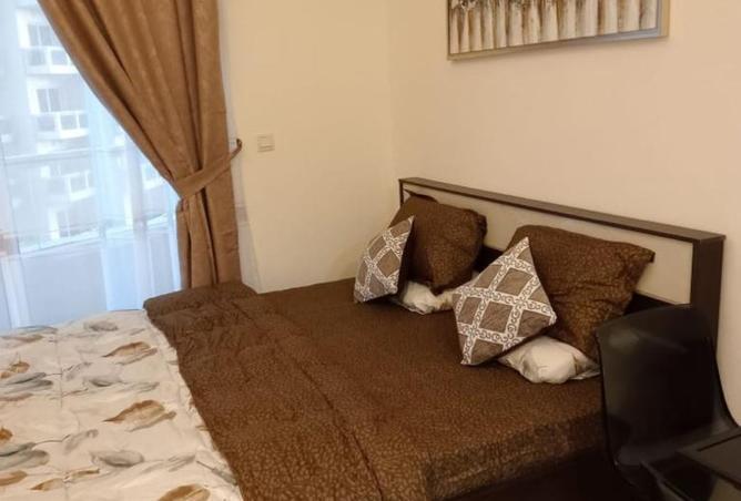 15768675 - Property Image 3