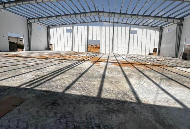 15277043 - Property Image 3