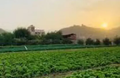 Farm - Studio for sale in Khor Fakkan - Sharjah