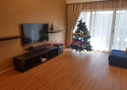 Spacious 3BR Well Maintained Apartment
