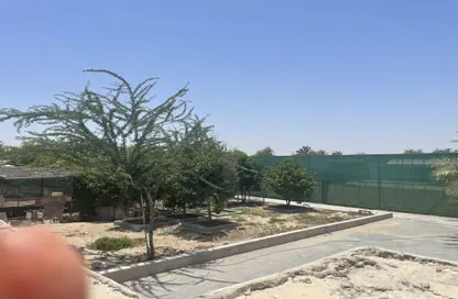 مزرعة - استوديو - 1 حمام للايجار في العجبان - أبوظبي