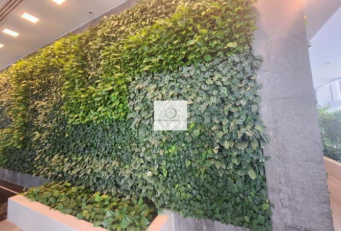 15232804 - صورة العقار 2