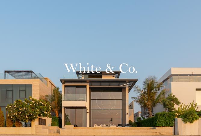 15568546 - Property Image 3