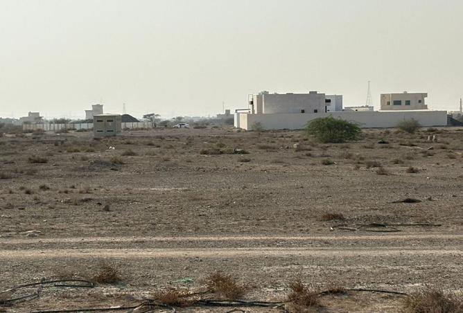 15595782 - Property Image 3