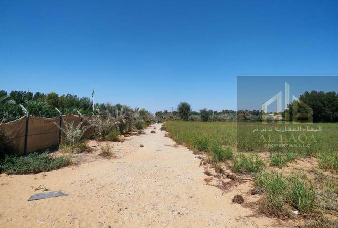 15372265 - Property Image 3