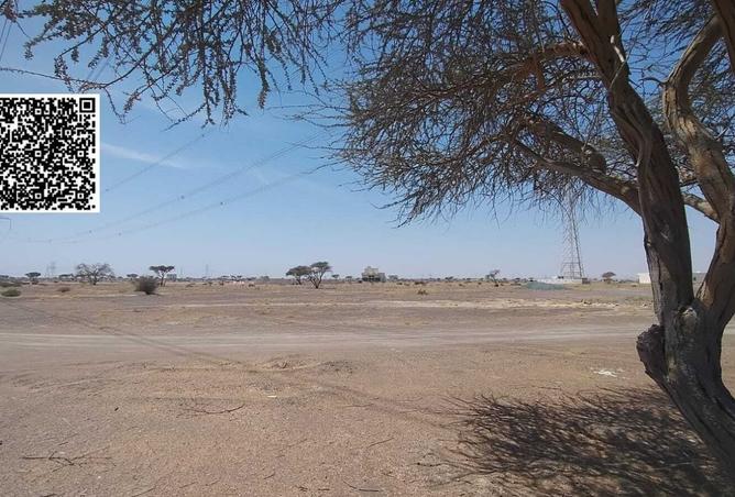 15578783 - Property Image 3