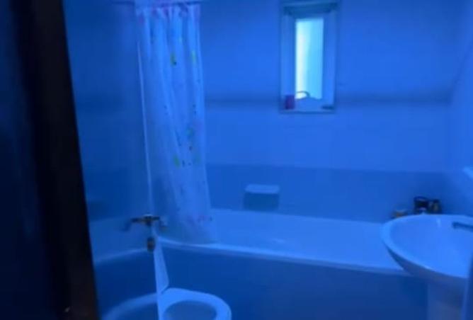 16103543 - Property Image 3