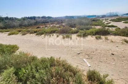 Land - Studio for rent in Al Warsan 3 - Al Warsan - Dubai
