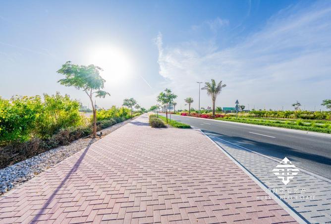 15819849 - Property Image 3