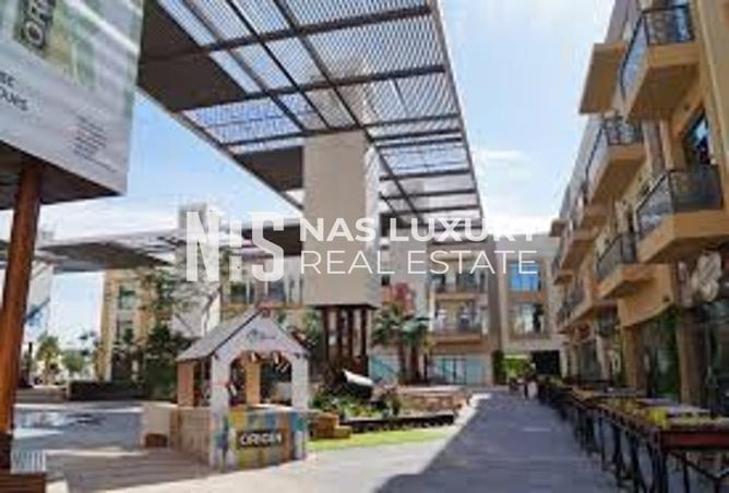 15619959 - Property Image 3