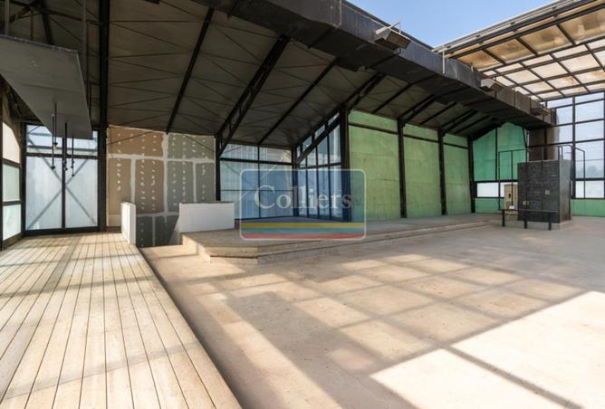 15454897 - Property Image 3