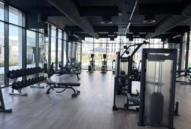 16064279 - Property Image 3