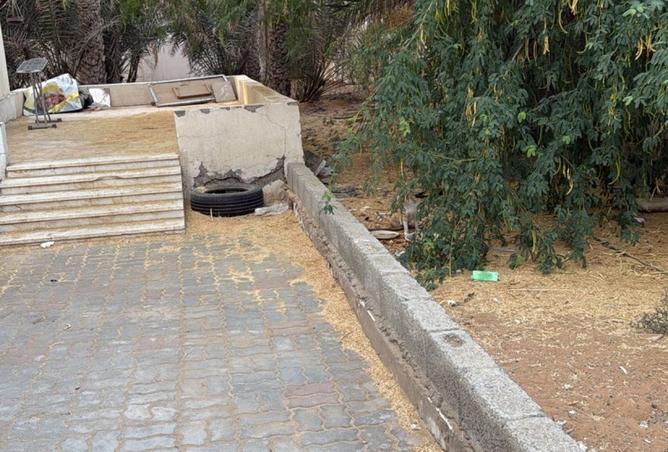 15801531 - صورة العقار 2