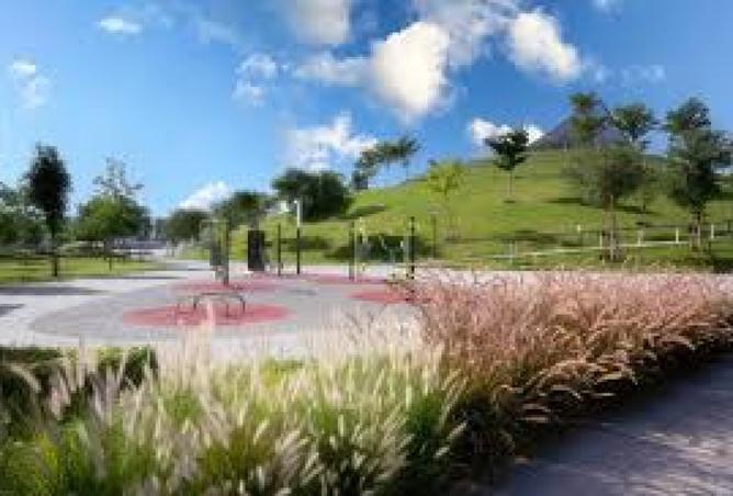 15676479 - Property Image 3