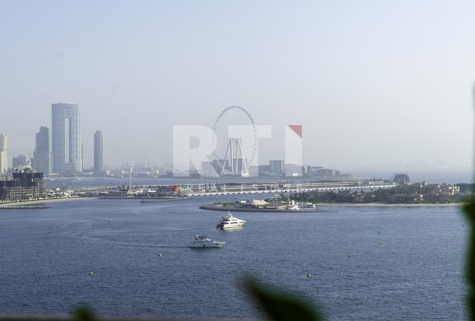 15229534 - Property Image 2