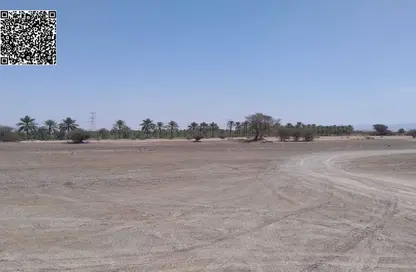 Land - Studio for sale in Manama - Ajman