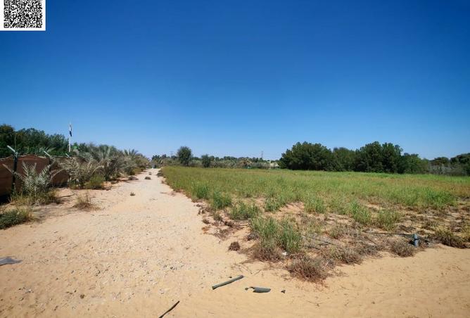 15366686 - Property Image 3