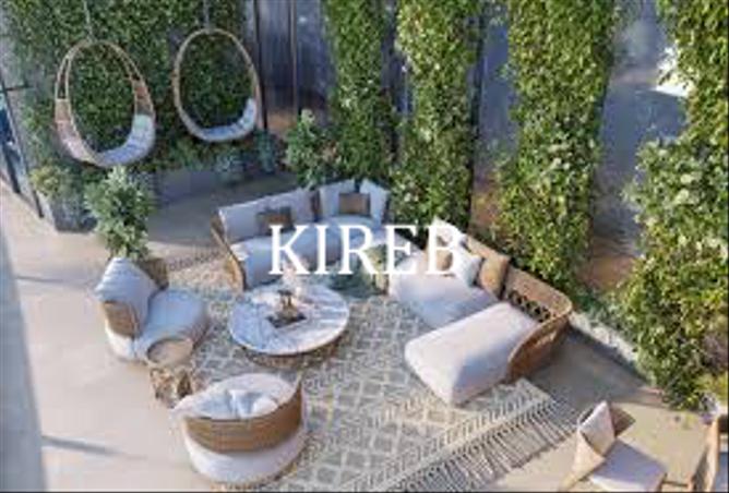 15253384 - Property Image 2