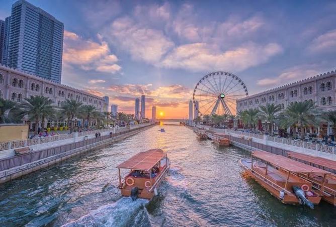 16015744 - Property Image 3