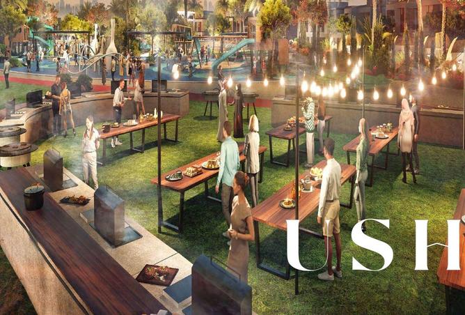 15596158 - Property Image 3