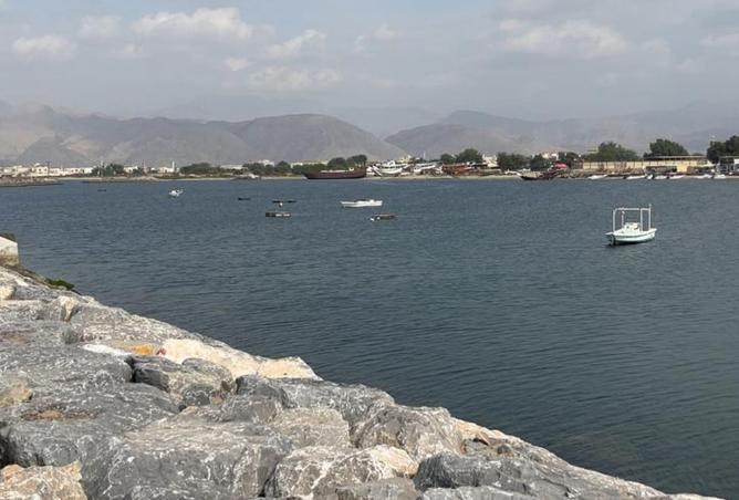 15772617 - Property Image 2