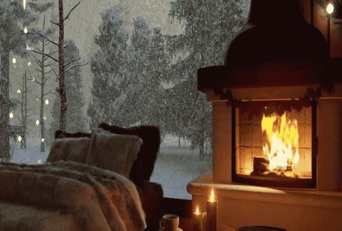 15565107 - صورة العقار 2