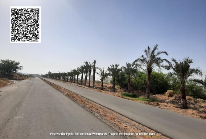 15234584 - صورة العقار 3