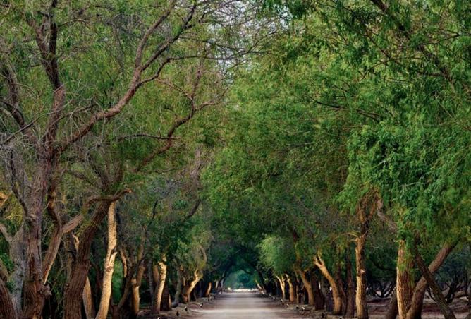 15651412 - صورة العقار 3