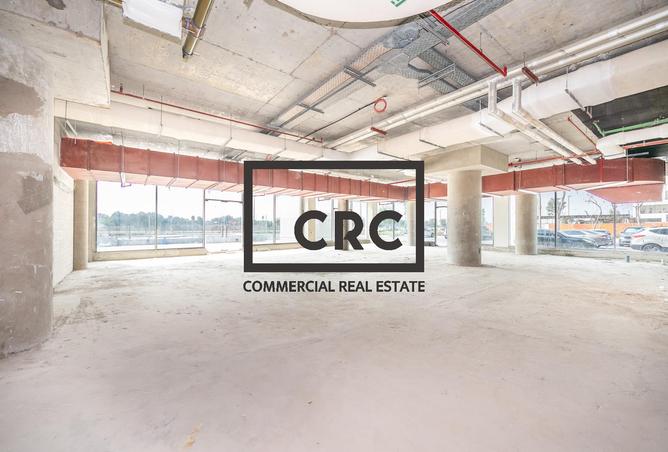 15668507 - Property Image 3