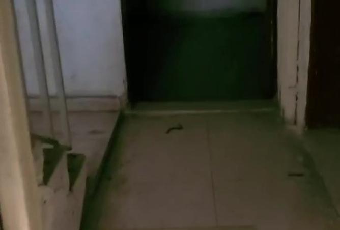 15609939 - صورة العقار 3