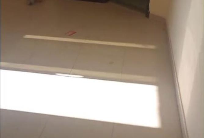 15952739 - Property Image 3