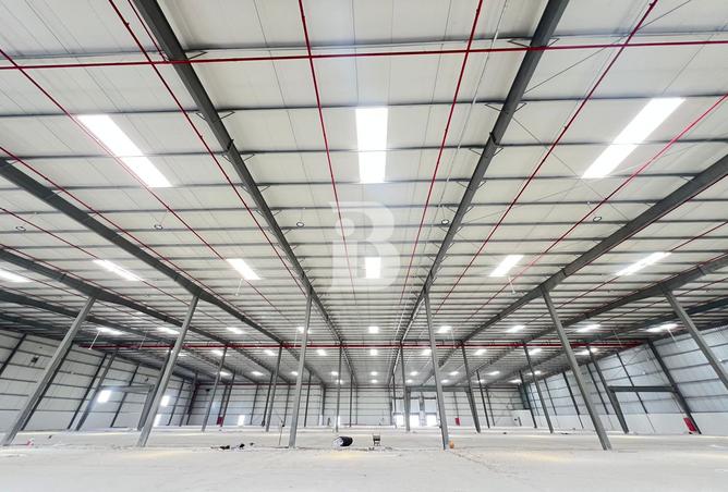 15899588 - صورة العقار 3