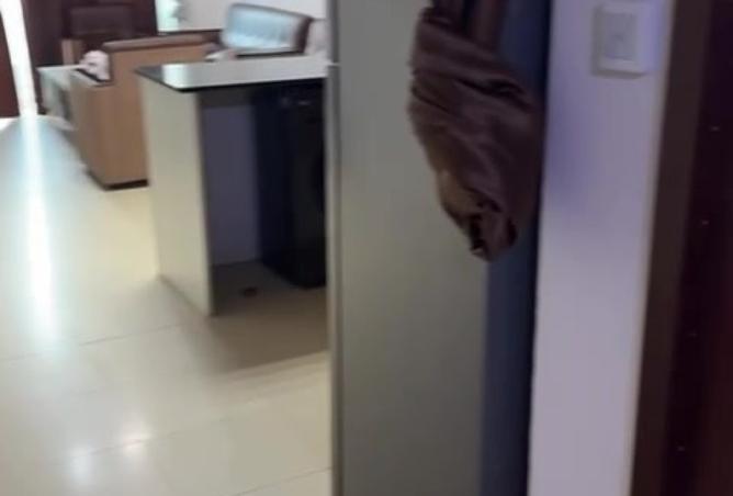 15544451 - Property Image 2