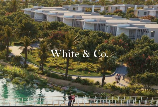 15567079 - صورة العقار 3