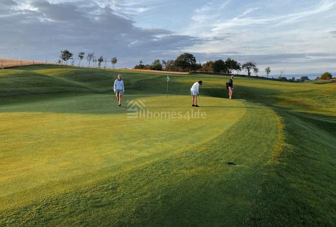 16028039 - صورة العقار 2