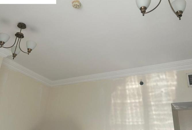 15358329 - Property Image 2