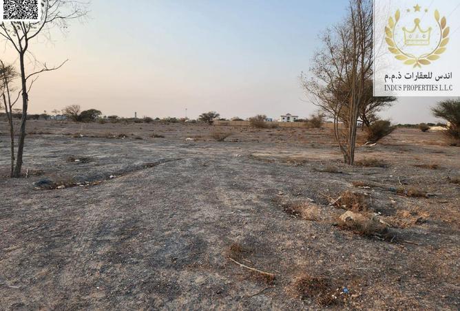 15306689 - صورة العقار 3