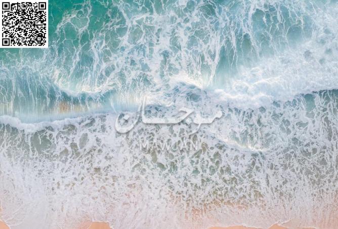 15609207 - صورة العقار 2