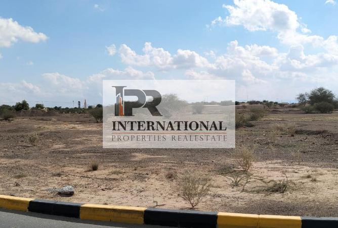 16106893 - Property Image 2