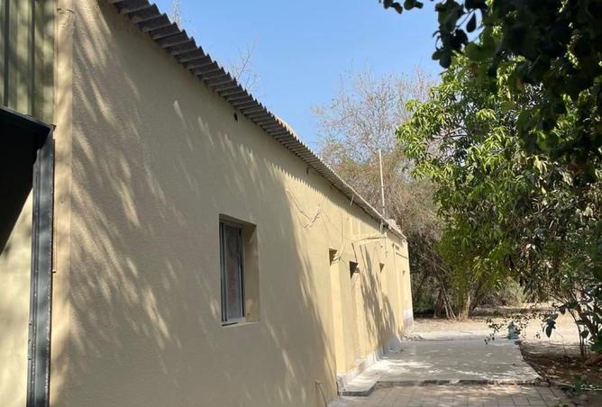 15117152 - Property Image 3