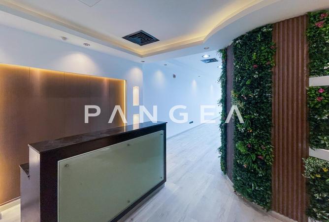 15557017 - صورة العقار 3