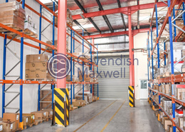 Temperature Controlled WH with Racking Facility