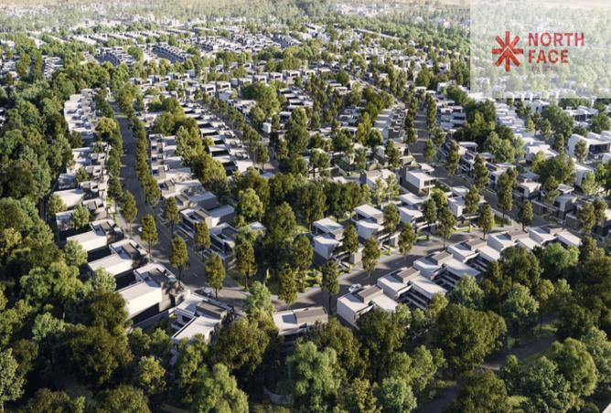 15258384 - Property Image 2