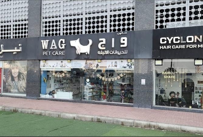 15833880 - صورة العقار 3