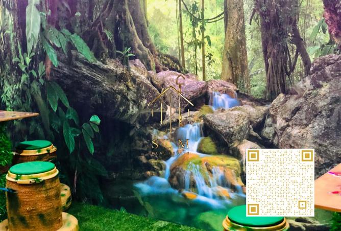 15743749 - Property Image 3