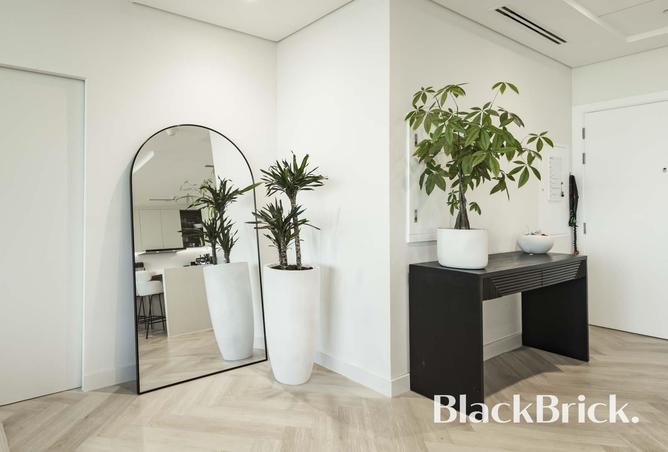 16082811 - Property Image 2