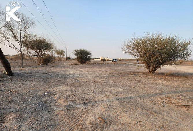 15306826 - صورة العقار 3