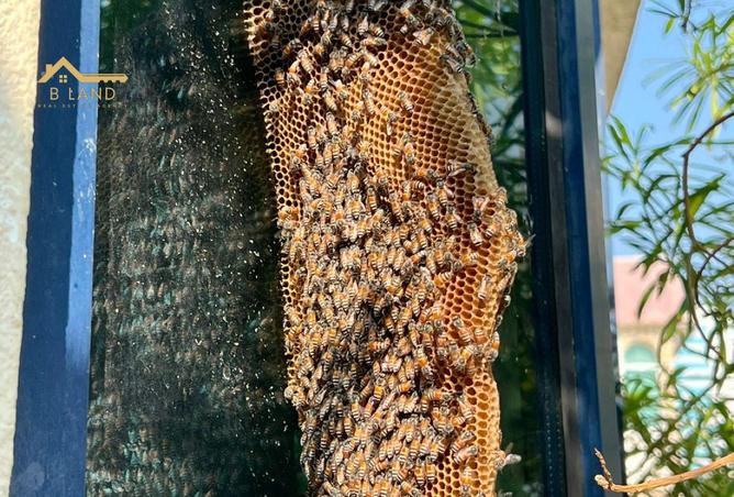 15527623 - Property Main Image